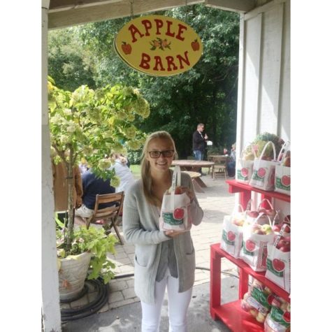 Photo/Cody Limesand Alex Rusciano buys Sweet Tango apples at the Minnetonka Orchard in Minnetrista.