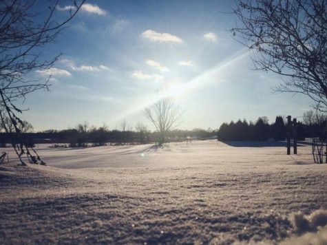 Pasture in the snow